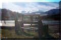 pr�s d'un petit lac, face aux Monts du Cantal, 02/2004 (42010 octets)