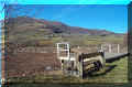 pr�s de l'�tang � sec, (digue en r�paration, 02/2004, Cantal, 15 (55203 octets)