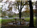 �tang_de_beaulieu, 11/2006 (116779 octets)