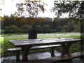 �tang_de_beaulieu, 11/2006 (107216 octets)