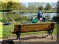 étang de Champigny-sur-Veude_concours de pêche, 10/2008 (126288 octets)