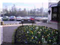 Chinon, tulipes prs des quais de la Vienne, route du chteau, 03/2007 (124902 octets)