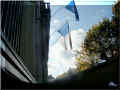 chinon_mairie et drapeaux, 11/2008 (97313 octets)