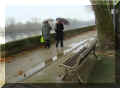 sous la pluie, Chinon, quai de la Vienne, 11/2008 (148735 octets)