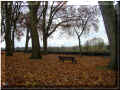 quais de la Vienne et feuilles mortes, 12/2007 (138926 octets)