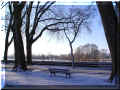 Chinon, bord de Vienne, 05/03/2006 (94205 octets)