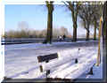 jogging_chinon_q56.jpg (80678 octets)