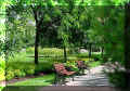 J Daniel Seguin St Hyacinthe, sous la verdure (54867 octets)