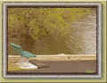 iberville, 2004 (54686 octets)