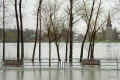 inondations_record_2011 (408589 octets)