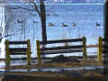 st_blaise_sur_richelieu1_av07_640.jpg (85647 octets)