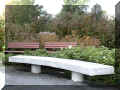 P1040503_jb640.JPG (87734 octets)
