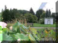 P1040566_jb640.JPG (91122 octets)