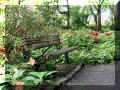 P1040569_jb640.JPG (90970 octets)