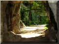 N�mes, jardins de la Fontaine, 08/2007, sous la grotte (101891 octets)