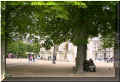 paris_jardin_tuileries_6t7.jpg (111379 octets)