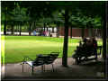 paris_jardins_8t7.jpg (85790 octets)