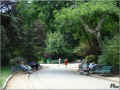 paris_jardins_07/2008 (124549 octets)