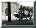 Ars-en-R�, l'�le de R� et ses cyclistes, 08/2004 (60666 octets)