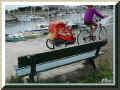 le banc, la cycliste et son b�b� (56138 octets)