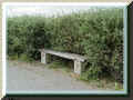 la haie qui gagne sur le banc (56479 octets)