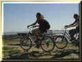 Rivedoux, �le de R�, le paradis des cyclistes (57423 octets)