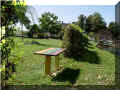 bord_de_l_eau_st_benoit_w86.jpg (105958 octets)