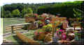 jardin_de_pots_de_fleurs, 09/2006 (89699 octets)