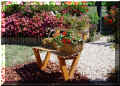 petit_blanc_fleuri_w86.jpg (115821 octets)