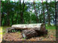 saint_benoit_la_foret_4w8.jpg (123603 octets)