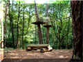 saint_benoit_la_foret_parc_acrobranches_2w8.jpg (118338 octets)