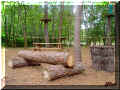 st_benoit_acro_branche, banc en pin (92588 octets)