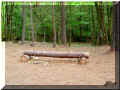 un banc trs rustique (88387 octets)