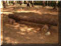 st_benoit la fort : parc acro_branche (84403 octets)