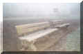 bancs sous la brume, stade de Thouarc� (28488 octets)
