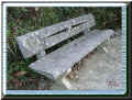 un banc couvert de lichens, 10/2004 (59307 octets)