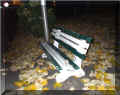 pr�s des feuilles mortes, parking de Thouars (43880 octets)