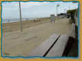 sur la plage, face à l'atlantique (04/2004) (44968 octets)