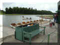 parc du chtrau de  Versailles, 07/2008, prs du grand bassin (102710 octets)
