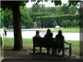  parc du chtrau de  Versailles, 07/2008 (129126 octets)