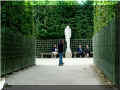 parc du chtrau de  Versailles, 07/2008, les bosquets (101474 octets)
