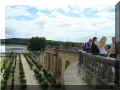  orangeraie, parc du chtrau de  Versailles, 07/2008 (94610 octets)