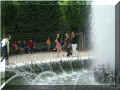  parc du chtrau de  Versailles, 07/2008 (108420 octets)