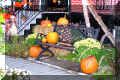 sillery_arrondissements_divers_quebec, Halloween, bancs et citrouilles (86938 octets)