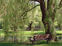 banc public, province du Qu�bec