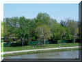 bord_du_rhone_r6.jpg (69964 octets)