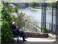 pont_d_avignon_r6.jpg (98020 octets)