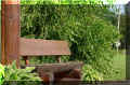 des arbres coup�s en deux (52769 octets)