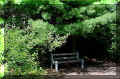 "cach� dans la verdure", Piste cyclable, Petit train du Nord, Laurentides, Qu�bec (55270 octets)