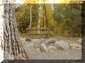  Mont -Saint-Hilaire, Mont�r�gie, Qu�bec, Canada (54526 octets)